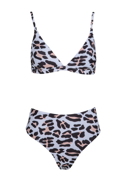 Leopard print two piece swimsuit